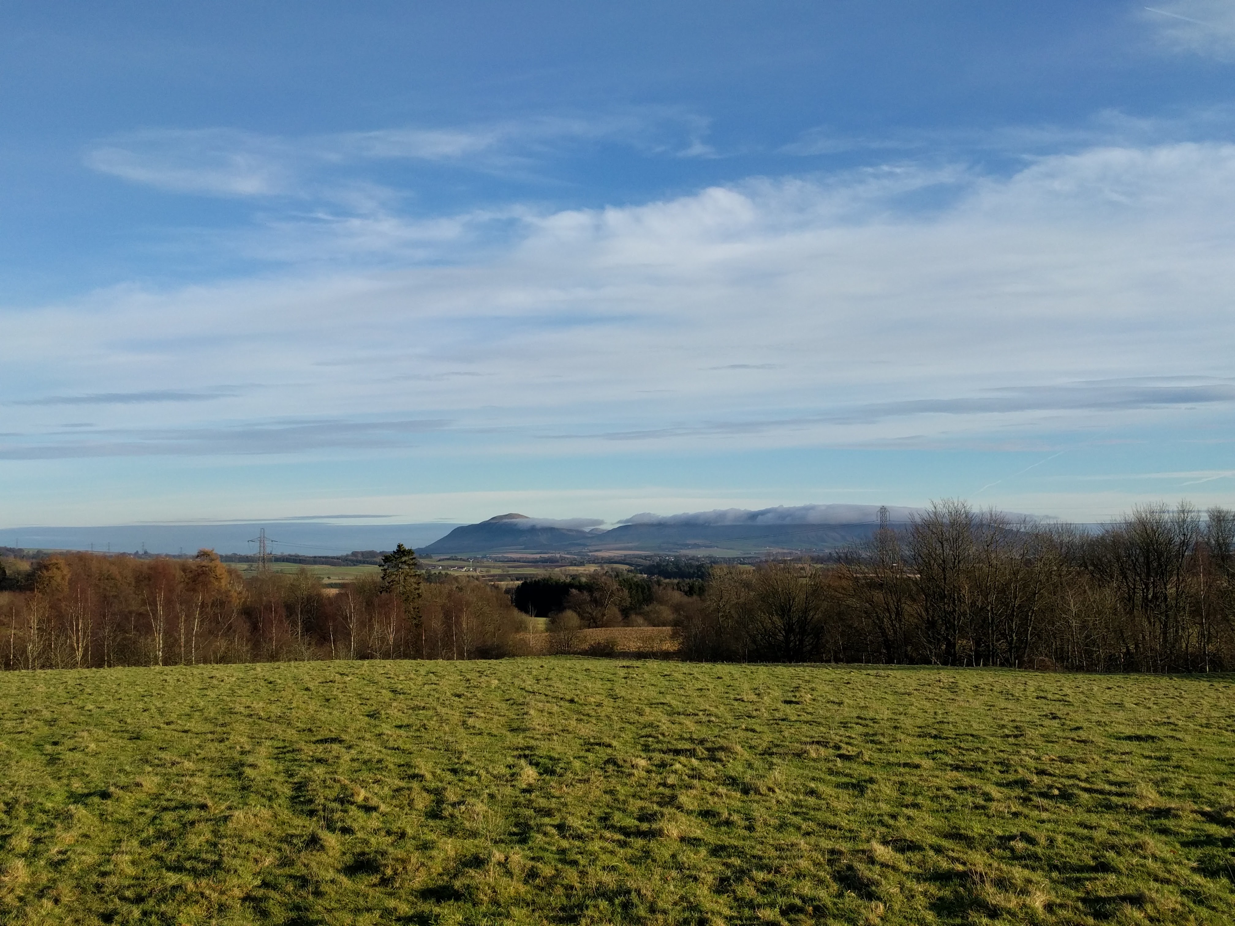 Second paddock, looking towards house plot